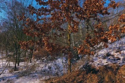 Spring battles winter by the river. Slider shots with picturesque bokeh. Stock Footage 329382567