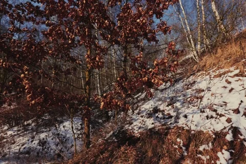 Spring battles winter by the river. Slider shots with picturesque bokeh. Video stock 329382663