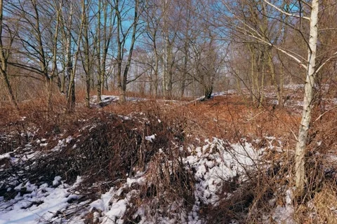 Spring battles winter by the river. Slider shots with picturesque bokeh. Stock-Footage 329382987