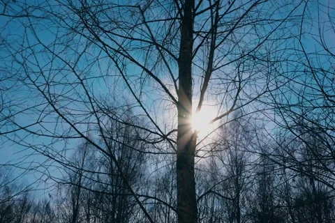 Spring battles winter by the river. Slider shots with picturesque bokeh. Stock Footage 329383615