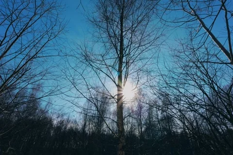 Spring battles winter by the river. Slider shots with picturesque bokeh. Stock Footage 329383624