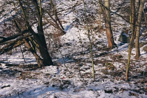Spring battles winter by the river. Slider shots with picturesque bokeh. Stock Footage 329383838