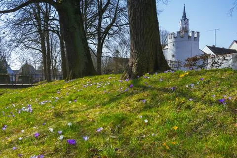 Spring in Bavaria Foto stock
