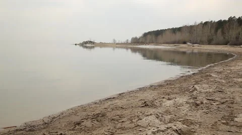 Spring beach 動画素材 49950371