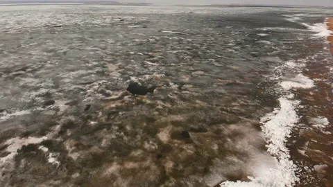 Spring beach Stock Footage 146607477