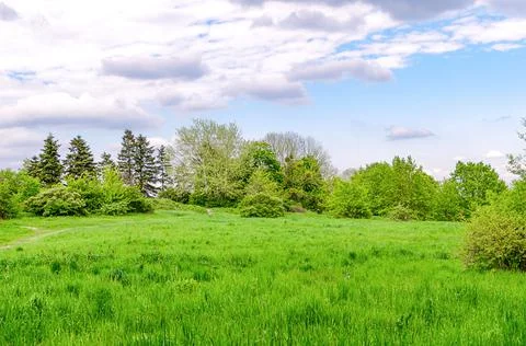 Spring beautiful landscape Stock Photos