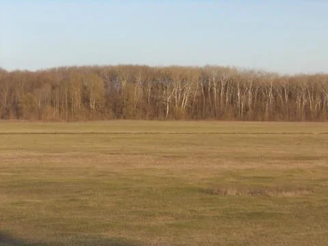 SPRING BEAUTIFUL MEADOW Foto stock