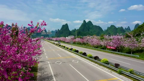 Spring beautiful scenery Stock Footage 188040693