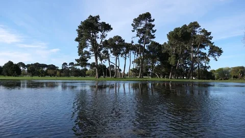 Spring beautiful scenery  in Park, lake, trees and flower Video stock 80305601