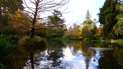 Spring beautiful scenery  in Park, lake, trees and flower Video stock 80305616