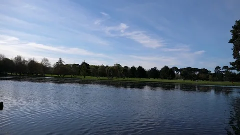 Spring beautiful scenery  in Park, lake, trees and flower Video stock 80305817