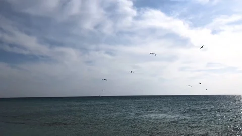 Spring beautiful sea view landscape. Stock Footage 128383894