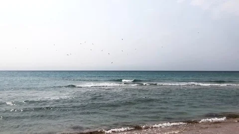 Spring beautiful sea view landscape. 動画素材 128383932