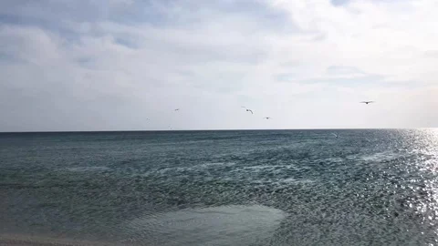 Spring beautiful sea view landscape. 動画素材 128396223