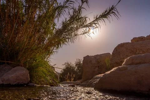 The spring between the rocks of Ein Gedi reserve in Israeli desert. Stock Photos