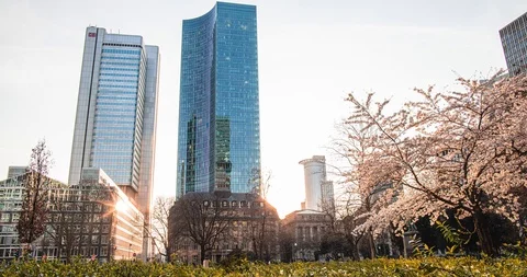 Spring in big city time lapse view tree and flowers downtown Stock Footage 126609172