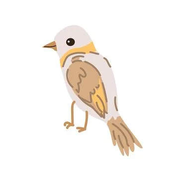Spring bird with orange feather. Vector cartoon illustration in childish style. 스톡 일러스트