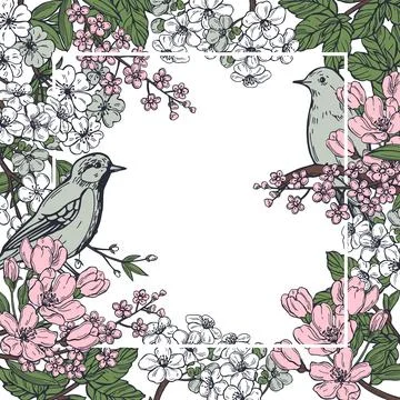 Spring birds and  flowers. Vector   illustration. Stock Illustration