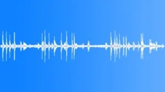 Spring Birds Nature AmbianceSound Effect