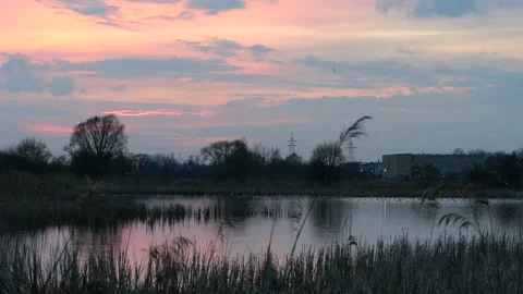 Spring, birds, terns, after sunset, city, ponds, bird sounds, mating season Stock Footage 152535284