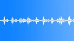 Spring Birdsong Sound Effect