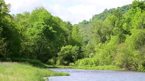 Spring bloom foilage with flowing stream, selective focus real time video. Stock Footage 310176299