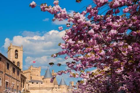 Spring Bloom at Olite Castle Stock Photos