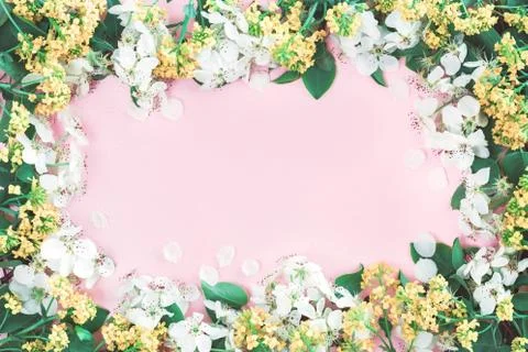 Spring blooming tree branches frame on pink Stock Photos