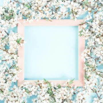 Spring blooming tree branches frame on baby blue Stock Photos