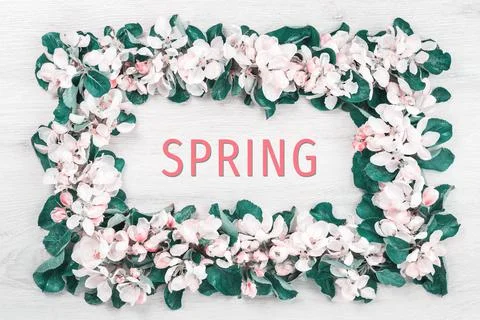 Spring blooming tree branches frame on wood Stock Photos