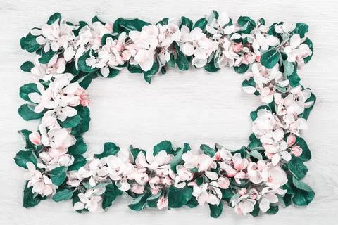 Spring blooming tree branches frame on wood Stock Photos