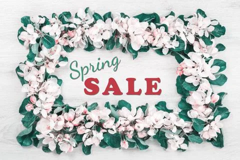 Spring blooming tree branches frame on wood Stock Photos