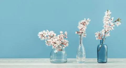 Spring blooming tree branches in a vase on tender soft blue Stock Photos