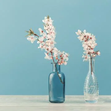 Spring blooming tree branches in a vase on tender soft blue Stock Photos