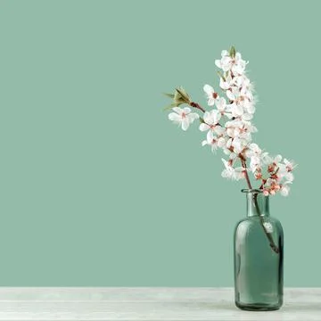 Spring blooming tree branches in a vase on tender soft blue Stock Photos