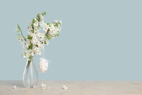 Spring blooming tree branches in a vase on tender green blue Stock Photos