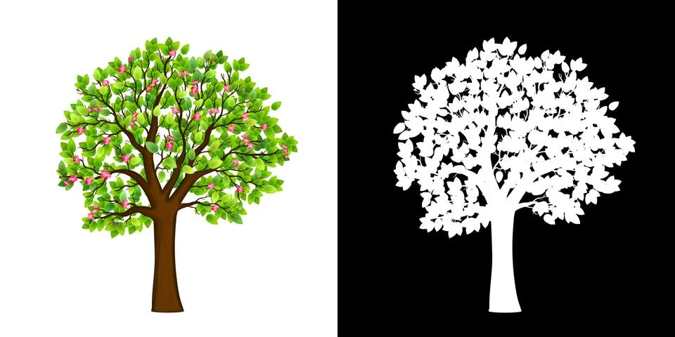 Spring blooming tree isolated vector Stock Illustration