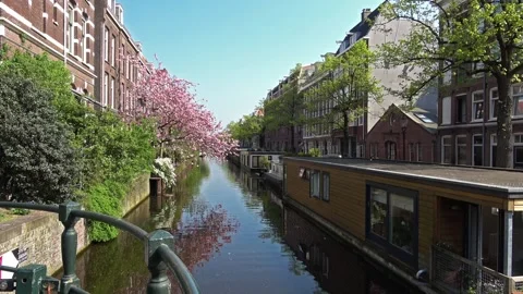 Spring blossom in Amsterdam Stock Footage 90229230