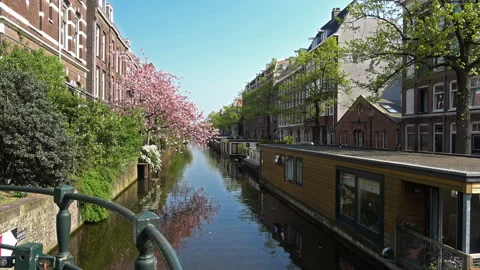 Spring blossom in Amsterdam Stock Footage 92760714