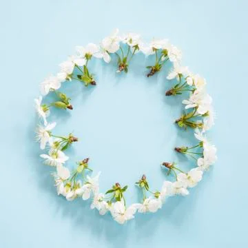 Spring blossom background Stock Photos