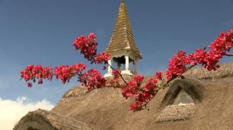Spring blossom blowing in the wind against a thatched church Video stock 12550260