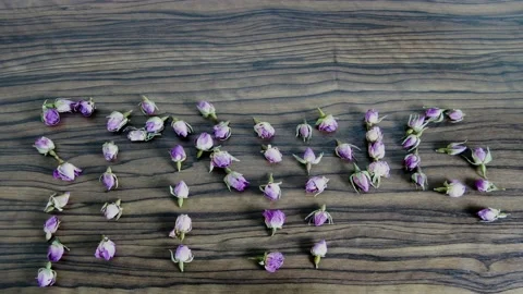 Spring with blossom flower Stock Footage 130624337