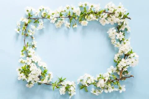 Spring blossom frame Stockfoto's