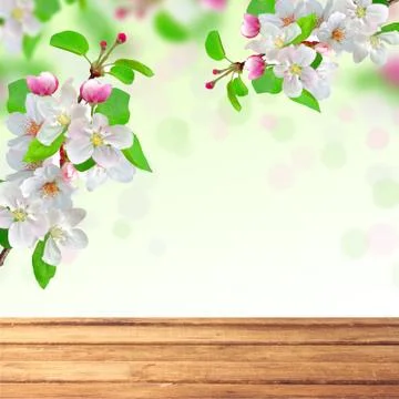 Spring blossom on nature background Fotos de archivo