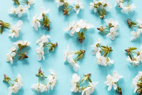 Spring blossom pattern Фото