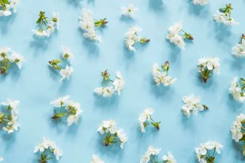 Spring blossom pattern Foto stock