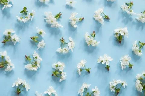 Spring blossom pattern Foto stock