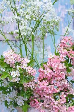 Spring blossom Stock Photos