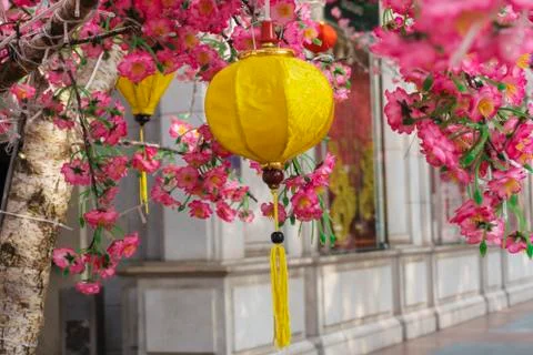 Spring blossom Stock Photos