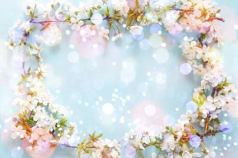 Spring blossom Фото